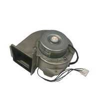 image-PhotoRoom.png-PhotoRoom (4)