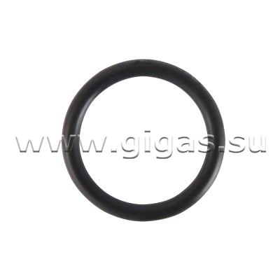 Уплотнительное кольцо 22 FPM (Viton)