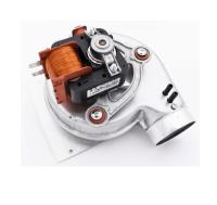 data-0011-87161432010-1-800x600