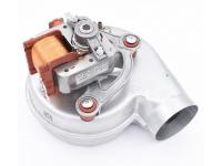 data-0000001-20005543-1-800x600