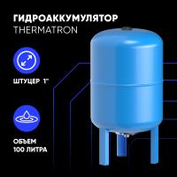 Гидроаккумулятор вертикальный ThermaTron 100_1