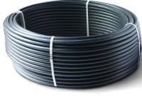 3832886-e1584683399990